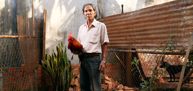 مينه أصبح من محترفي رياضة مصارعة الديكة الشهيرة في فيتنام. أرشيفية