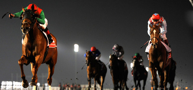 «أنيمال كنيغدام» بطل نسخة 2013 آخر الخيول الأميركية المتوّجة بلقب كأس دبي العالمي. الإمارات اليوم