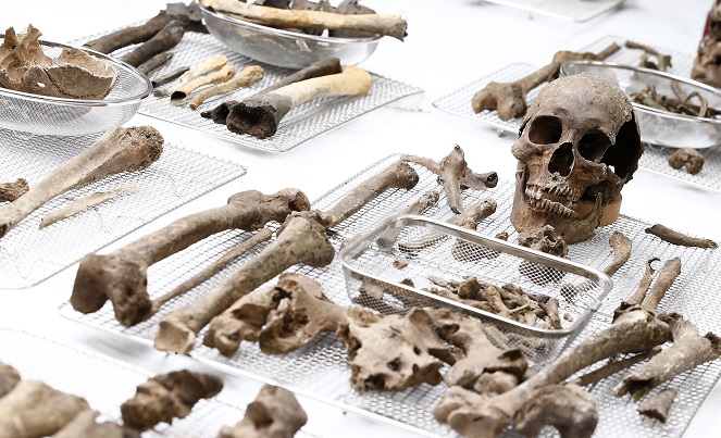 ترتيب رفات الجنود الصينيين الذين قتلوا في الحرب الكورية، قبل أن يتم وضعها في توابيت في جيونج جي دو. اي بي اي