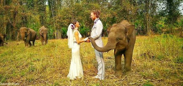 الزوجان يحتفلان في إحدى الدول الإفريقية. ارشيفية