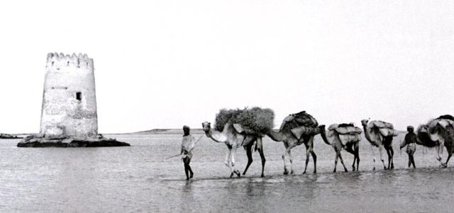 قافلة تعبر المياه الضحلة أمام برج المقطع قديماً.  من المصدر