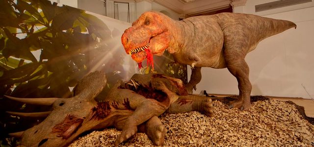 من المجسمات التي سيستضيفها مهرجان الشارقة القرائي للطفل 2015.  أرشيفية