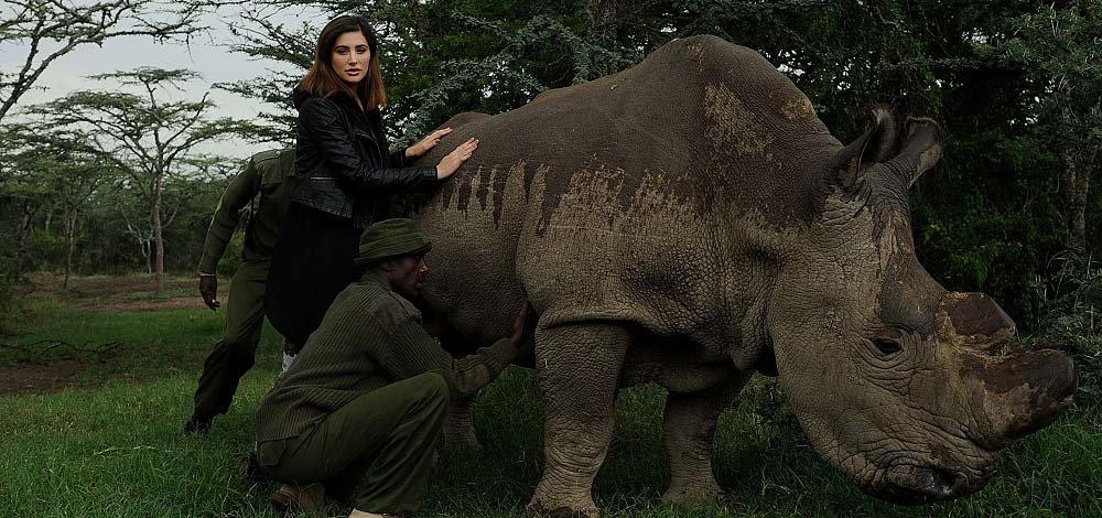 نرجس فخري تصطحب سودان في جولة برية. أ ف ب