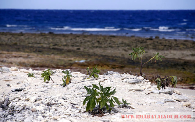 الصور من وكالات.