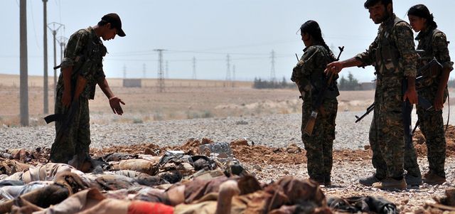 مقاتلون من «وحدات حماية الشعب» أمام جثث مسلحين قتلوا بالقرب من بلدة عين عيسى شمال الرقة معقل «داعش».  أ.ف.ب