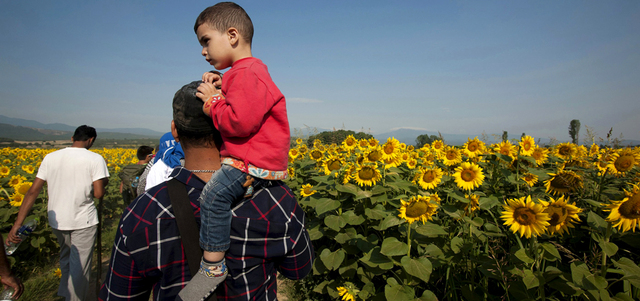 لاجئ سوري يحمل طفله على كتفه في حقل بالحدود اليونانية ــ المقدونية. رويترز