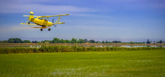 مزارعون يستخدمون برامج تجمع بيانات من الطائرات حول المحاصيل والرطوبة وجودة التربة. غيتي