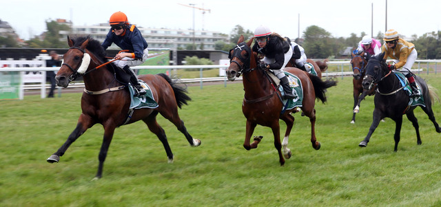 من منافسات مهرجان الخيول العربية الأصيلة في بلجيكا. من المصدر