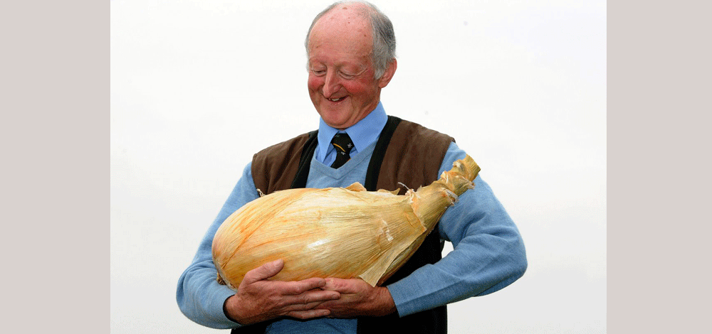 بريطانيا ، أثقل بصلة بوزن 17 باوند