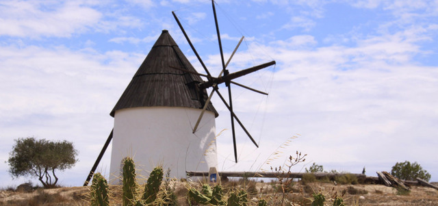 يهيمن نبات الصبار على المشهد في صحراء كابو دي غاتا.