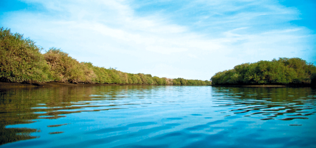 الشارقة عاصمة السياحة العربية للعام الجاري.

الإمارات اليوم