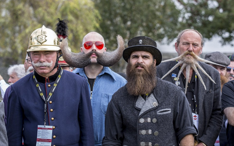 بطولة العالم للشوارب واللحى التي تقام حاليا في مدينة ليوجانج التي تقع وسط جبال الألب في النمسا ويشارك فيها اكثر من 300  شخص للفوز بلقب  البطولة. وكالات