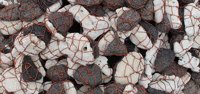 «حلو ومالح» يجمع حجارة من بحر قزوين ومرجان من خورفكان للفنان محمد أحمد إبراهيم. من المصدر