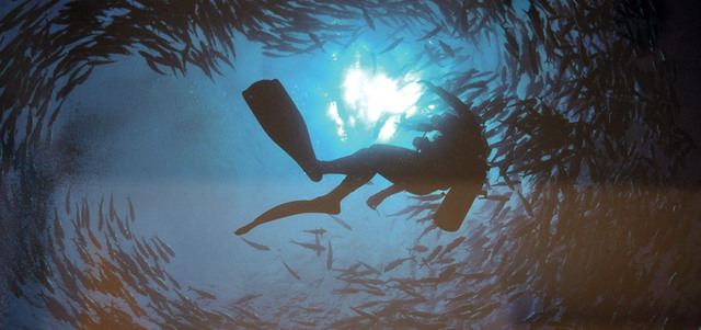 «قطعت آلاف الأميال في قارات العالم الست، لأنني أتوقع دائماً أن رحلة الغوص الأجمل تلك التي لم أذهبها بعد». علي خليفة بن ثالث