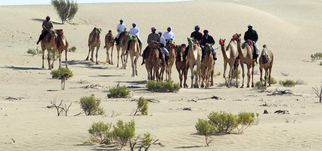 محمية المرزوم تعد الأولى من نوعها التي تركز على الصقارة وفراسة الصحراء ومختلف أوجه التراث العربي والإماراتي. من المصدر