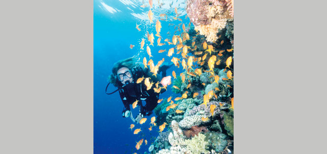 رياضة الغطس. الإمارات اليوم