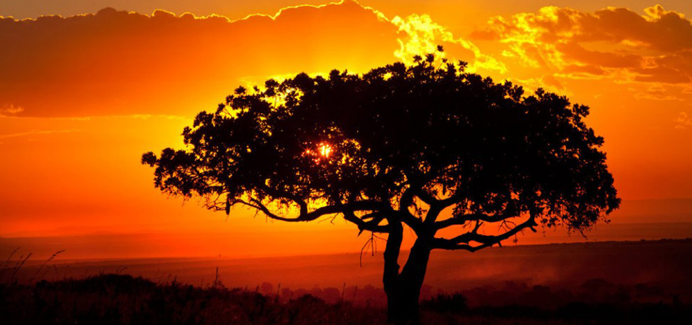 اليوم سيكون في طول عام، إذ حين تتوقف الأرض ستشرق الشمس على نصفي الكرة الأرضي لمدة 6 أشهر متواصلة، وحرارة النهار ستصبح استوائية، وبرودة الليل قطبية قارسة.