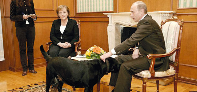 بوتين يداعب كلبته.  غيتي