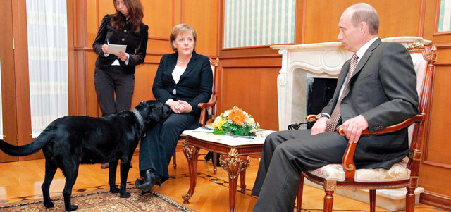 ذهبت الكلبة لتشم ميركل التي بدا عليها الخوف. غيتي