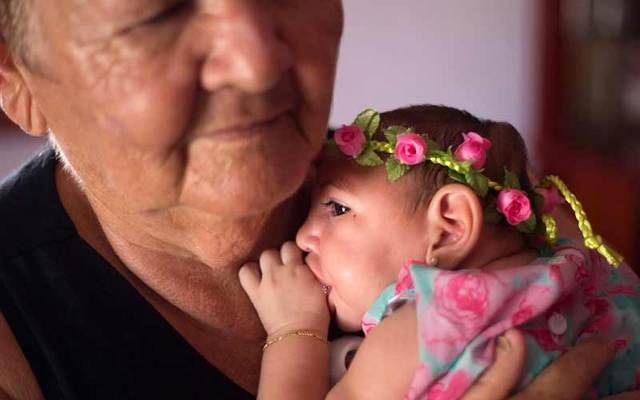 وينقل الموقع عن دراسات تناولت حياة هذا النوع من البعوض أن الزاعجة المصرية تقضي معظم حياتها بين البيوت وتطير ما معدله 400 متر خلال بلوغها ما يعني أن الناقل الرئيس للمرض بين المجتمعات السكانية هو الأنسان.