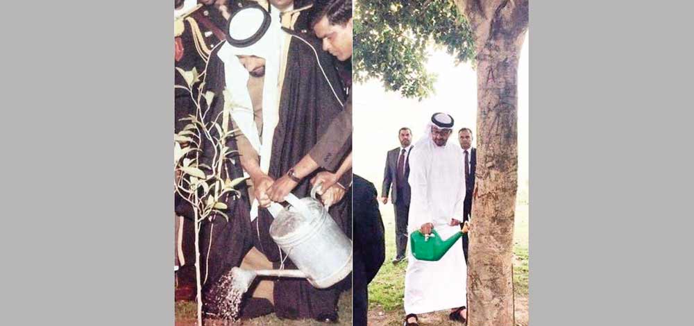 صورة مركبة لمحمد بن زايد وهو يسقي الشجرة التي غرسها الشيخ زايد في ساحة «راج غات». الإمارات اليوم