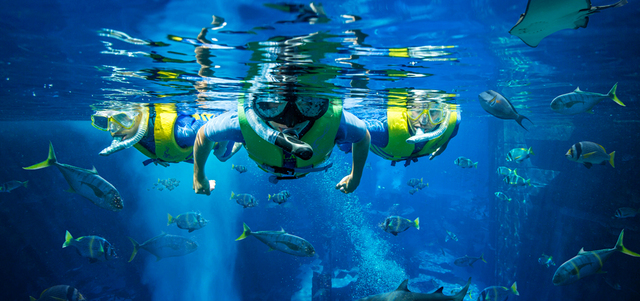 التدريب يبدأ من دروس أولى تعلّم الأطفال كيفية التنفس تحت الماء.
الإمارات اليوم