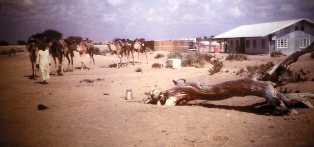 صورة لمبنى مستشفى الواحة في منتصف الستينات.