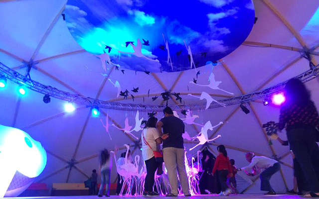 1-قبة هيئة البيئة:  قبة خشبية ترتفع إلى علو 22.5 متراً، في مشهد طبيعي يحاكي أهمية البيئة في حياتنا، وفي أركانها معلومات وحقائق وأرقام تلامس واقع حياتنا اليومي، حيث يحتشد الزوار للاطلاع عليها ضمن منطقة الحفاظ البيئة التي تعتبر إحدى مناطق مهرجان أم الإمارات.