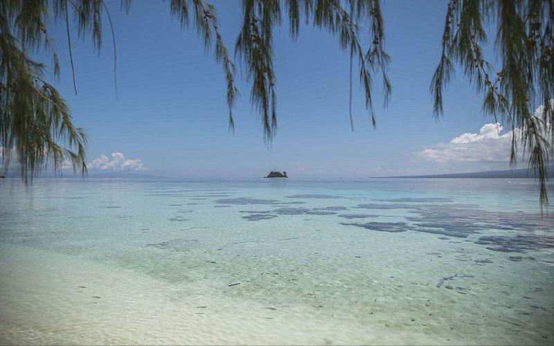 شواطئ الجزيرة رملية بيضاء، مليئة بالشعاب المرجانية