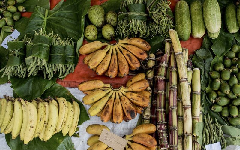 تشتهر جزر سليمان بمحصولها الوفير من الخضار والفواكه، ويميز بكونه عضويا