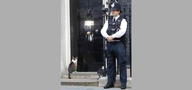 لاري أمام مبنى 10 داوننغ ستريت. أ.ب