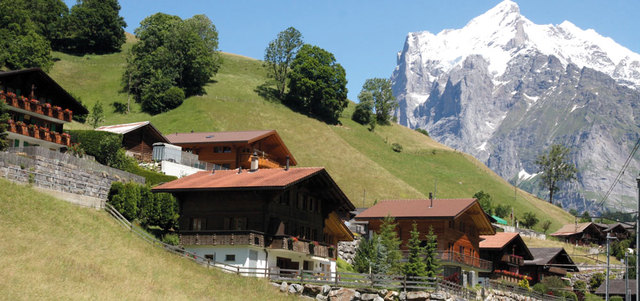 تنتشر المروج الخضراء حول مسار التجول وتظهر بها الأزهار بألوانها المختلفة مثل الأصفر والأحمر والأزرق والأرجواني بحيث يبدو المشهد الطبيعي هنا كأنه مهرجان من الألوان. د.ب.أ