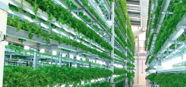 البطاقات تتضمّن حزمة من المحفزات والخصومات التشجيعية. من المصدر