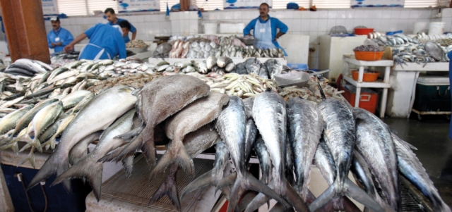 «موسم الخضرة» يتميز بوفرة الأسماك في أسواق الدولة. تصوير: مصطفى قاسمي
