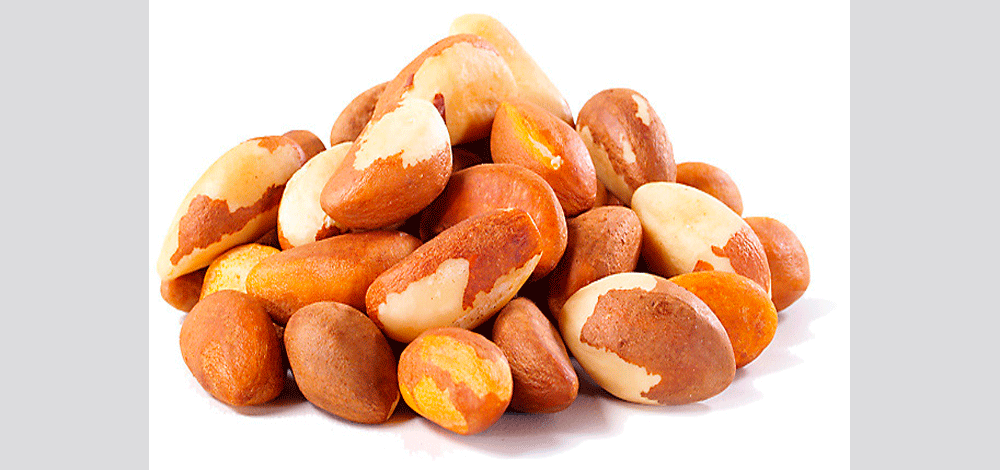 المكسرات البرازيلية غنية جدا بالمعادن والسلينيوم الذي يتدخل في إنتاج البروتينات الموجودة في الحيوانات المنوية