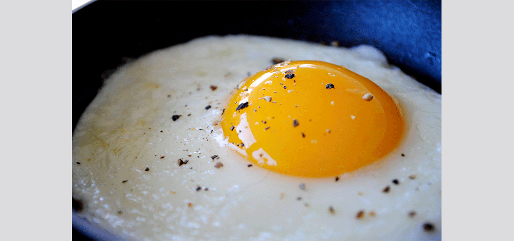 البيض باعتباره أحد أكثر الأطعمة المغذية لاحتوائه على جميع الفيتامينات والمعادن الهامة