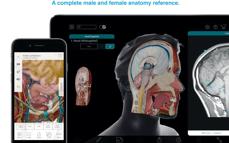 Human Anatomy Atlas 2017 لعرض نماذج ثلاثية الأبعاد لجسم الإنسان