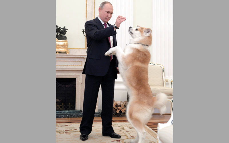 بوتين يحاول جاهداً كبح جماح الكلبة. أ.ف.ب