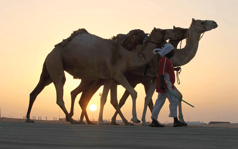 الزوّار أبدوا إعجابهم بفعاليات المهرجان وما تقوم به الإمارات من جهود للحفاظ على التراث.  من المصدر