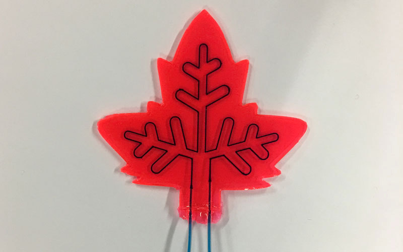 الورقة الاصطناعية التي تعمل كمصنع مصغر لإنتاج الأدوية.‏ رويترز