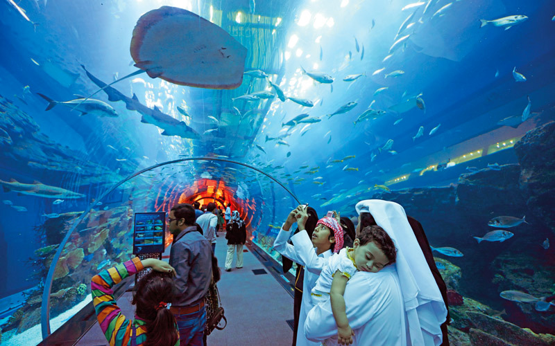 دبي.. مغامرات بحرية وسفاري مع أسماك القرش