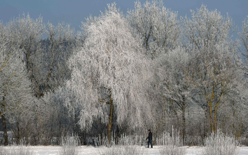 الصور : أ.ف.ب