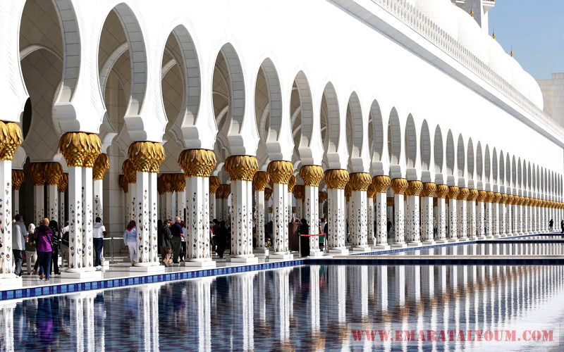 تصوير : محمد نجيب