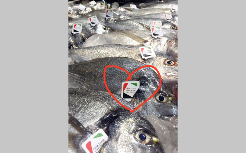 «فيش فارم» تعتزم إنتاج 6000 طن من أسماك «سيباس» لتلبية الطلب المحلي. من المصدر