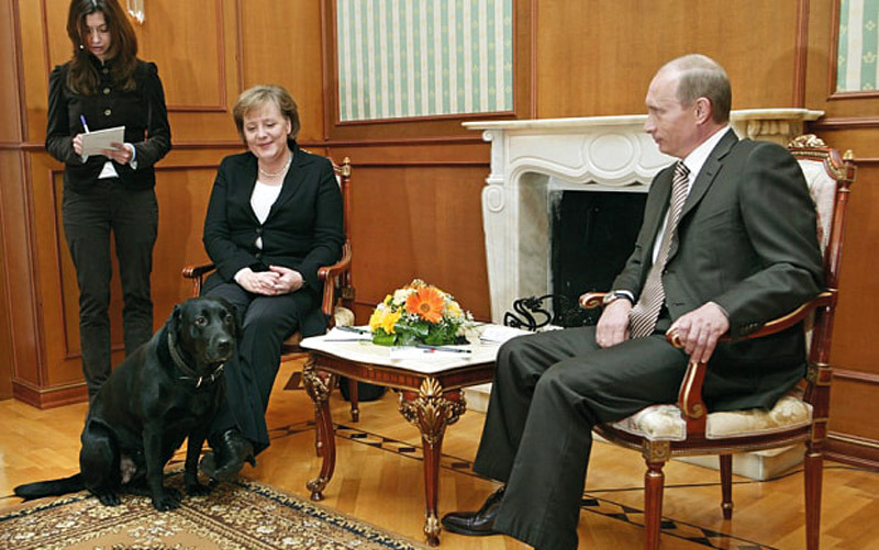 ظلت ميركل التي تخشى الكلاب هادئة وابتسمت بمرارة عندما استدعى بوتين كلبته «كوني» الضخمة السوداء.

أرشيفية