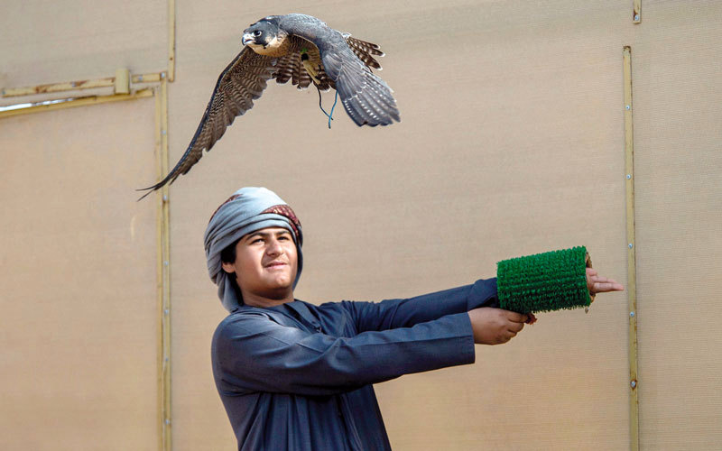 مشاركات واسعة في بطولة «فخر الأجيال».

من المصدر