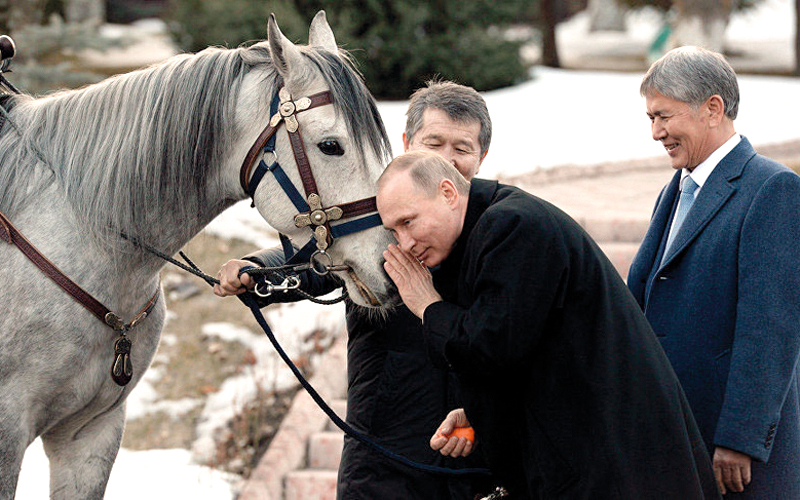 بوتين يتودد لحصانه الجديد. غيتي