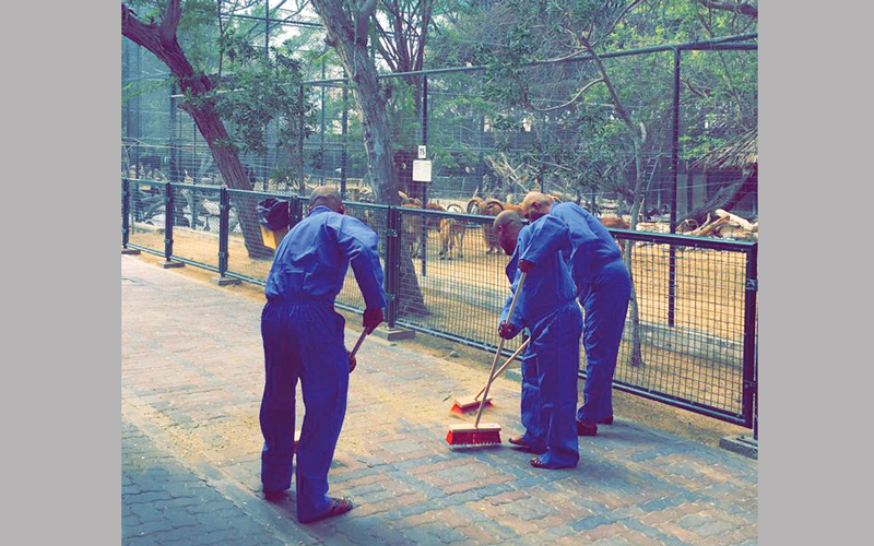 تنظيف حديقة الحيوان إحدى عقوبات الخدمة المجتمعية. من المصدر