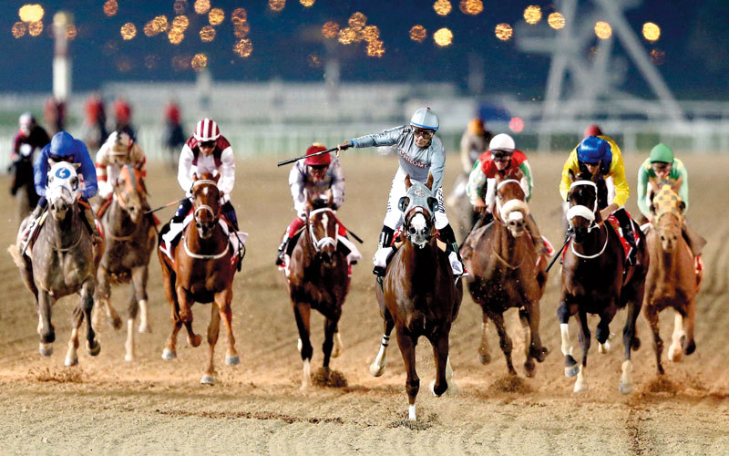 الجواد الأميركي «كاليفورنيا كروم» يتقدم المنافسين في نسخة العام الماضي لكأس دبي العالمي. من المصدر