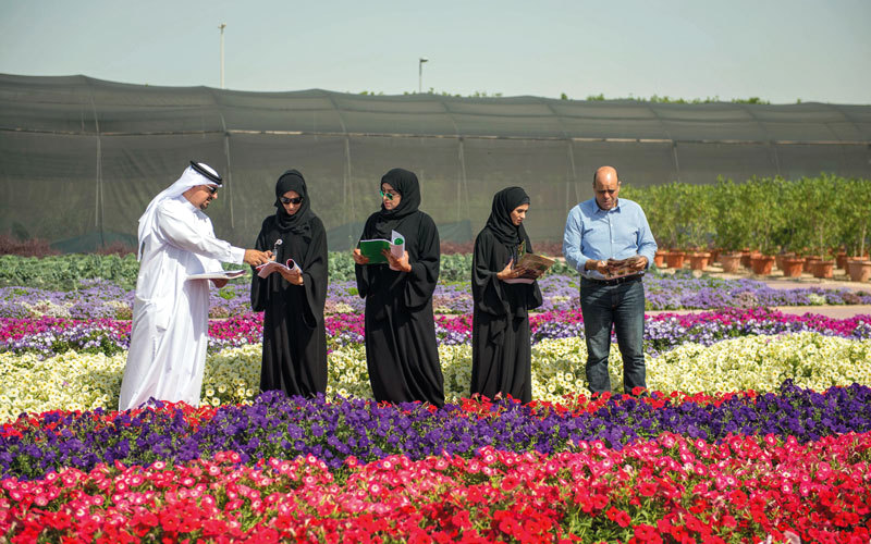 اختيار أصناف الزهور بمنطقة التجارب في مشاتل البلدية. من المصدر